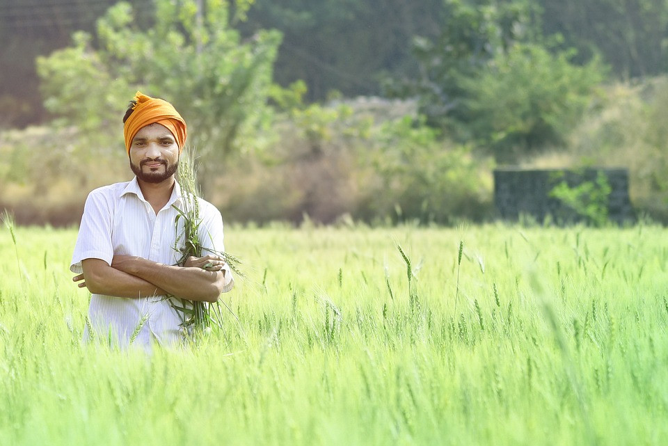 Five Questions on Organic Farming