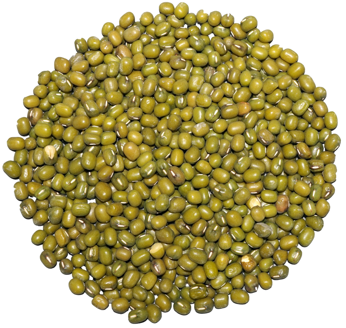 Organic Green Gram ಹೆಸರುಕಾಳು (Whole) - 500gms