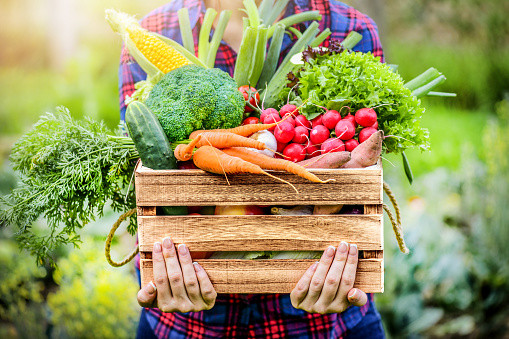 The Benefits of Eating Seasonally: Fresher, More Flavorful Produce and a Smaller Carbon Footprint
