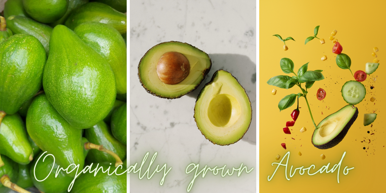 Why Organically Grown Avocados are the Best Choice for You and the Environment