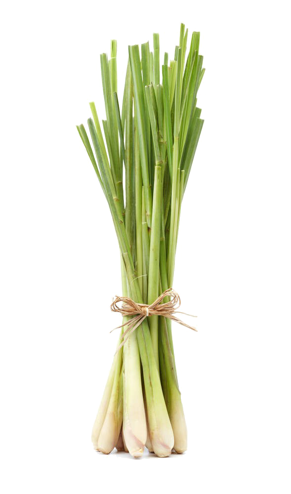 Fresh Lemon Grass ಲೆಮನ್ ಗ್ರಾಸ್ - 1 bunch