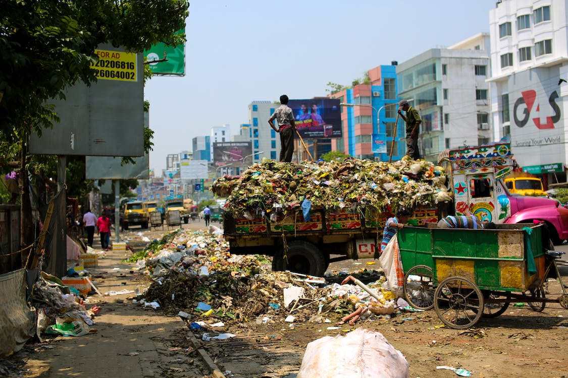 Reducing Food Waste: Simple Ways to Protect the Environment and Save Resources